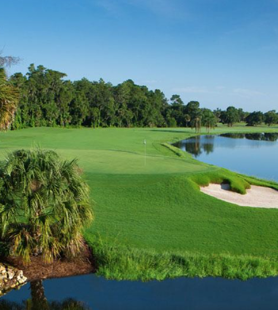 Palm Golf Course Walt Disney World Resort Gambaran