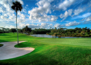 Palm-Harbor-Golf-Club-2