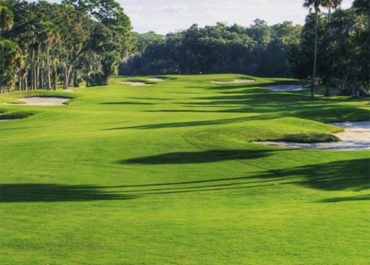 Palm-Harbor-Golf-Club-3