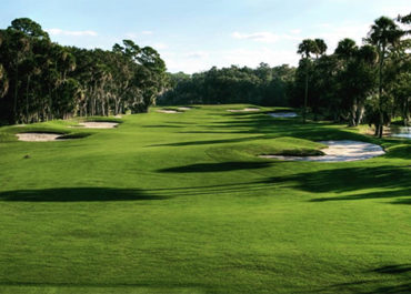 Palm-Harbor-Golf-Club-4