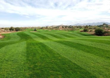 Desert-Springs-Golf-Club-1