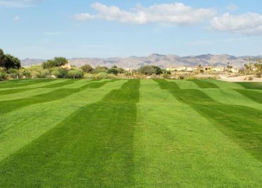 Desert-Springs-Golf-Club-2