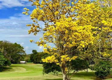 Caymanas-Golf-Country-Club-3